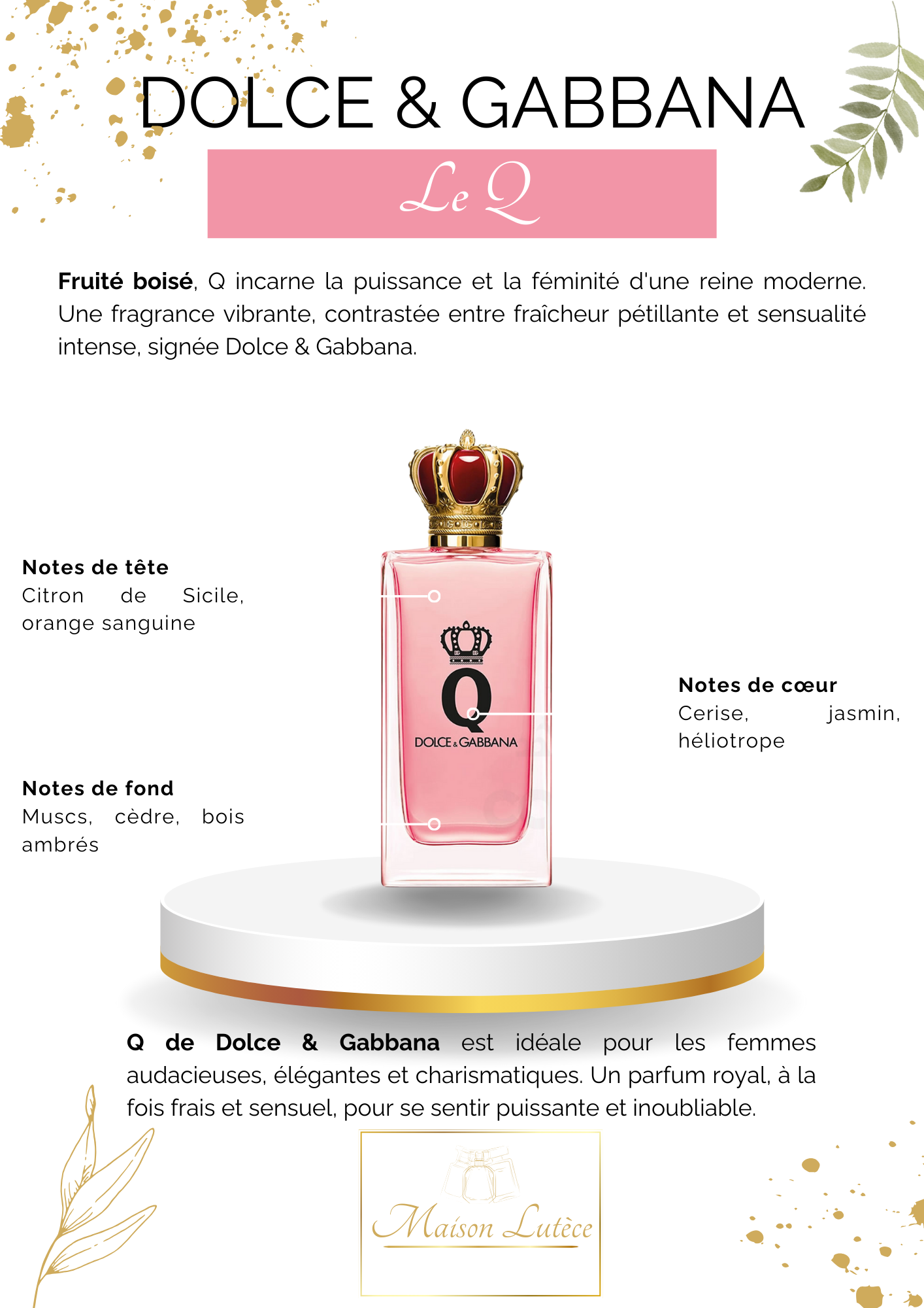 Q – Dolce & Gabbana